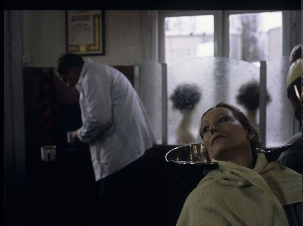 Jurek, Karol's brother (Jerzy Stuhr) with a client Mrs. Jadwiga (Teresa Budzisz-Krzyżanowska) in his hairdressing salon