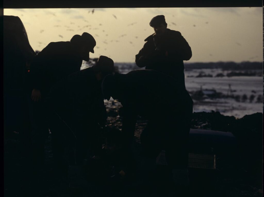 The scene at the garbage dump, where the airport baggage thieves bring a suitcase containing Karol (Zamachowski).