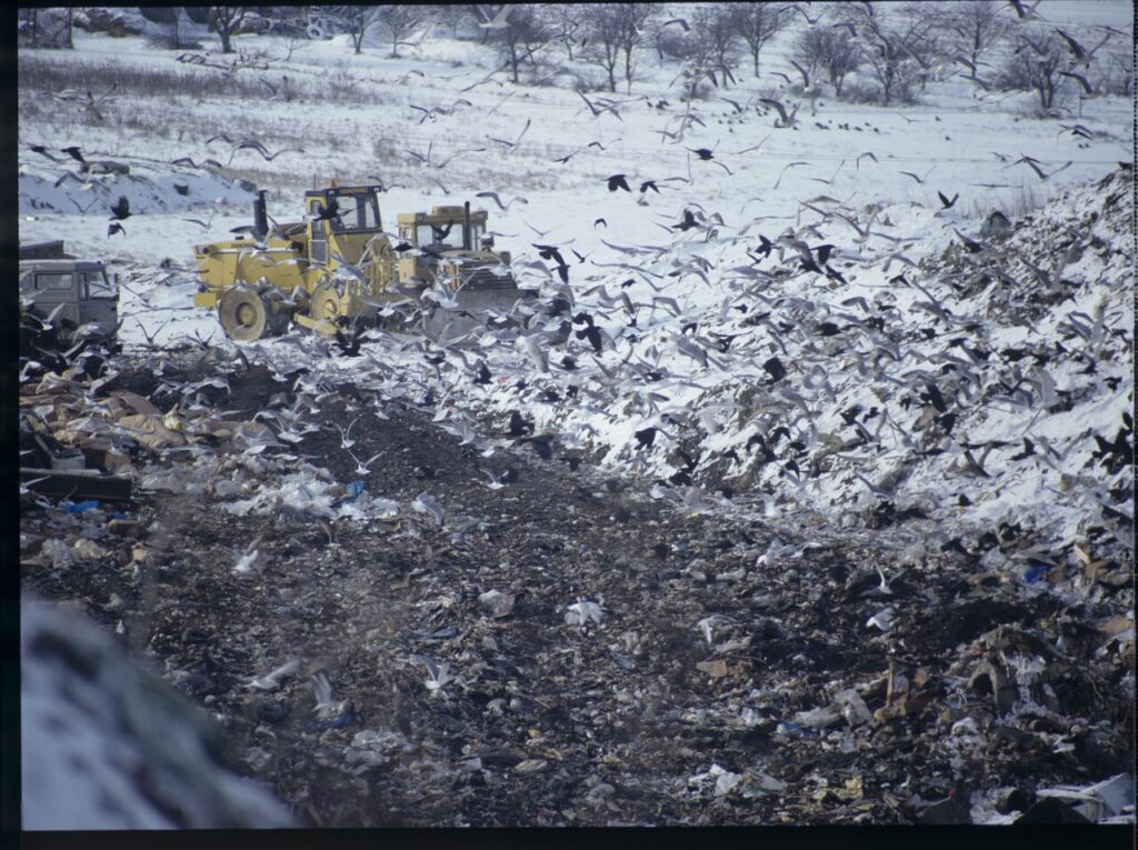Shooting a scene at a garbage dump where airport luggage thieves bring a suitcase containing Karol.