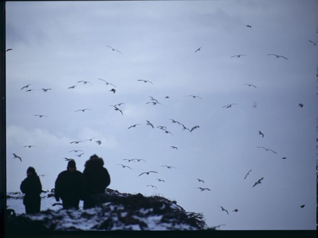 The crew on set at a garbage dump.