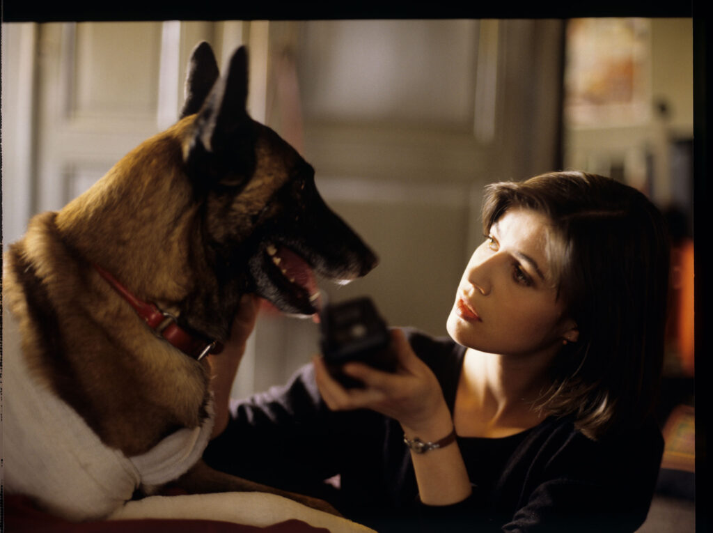 Lekarka weterynarii (Marion Stalens) opatruje psa, którego Valentine potrąciła swoim samochodem.