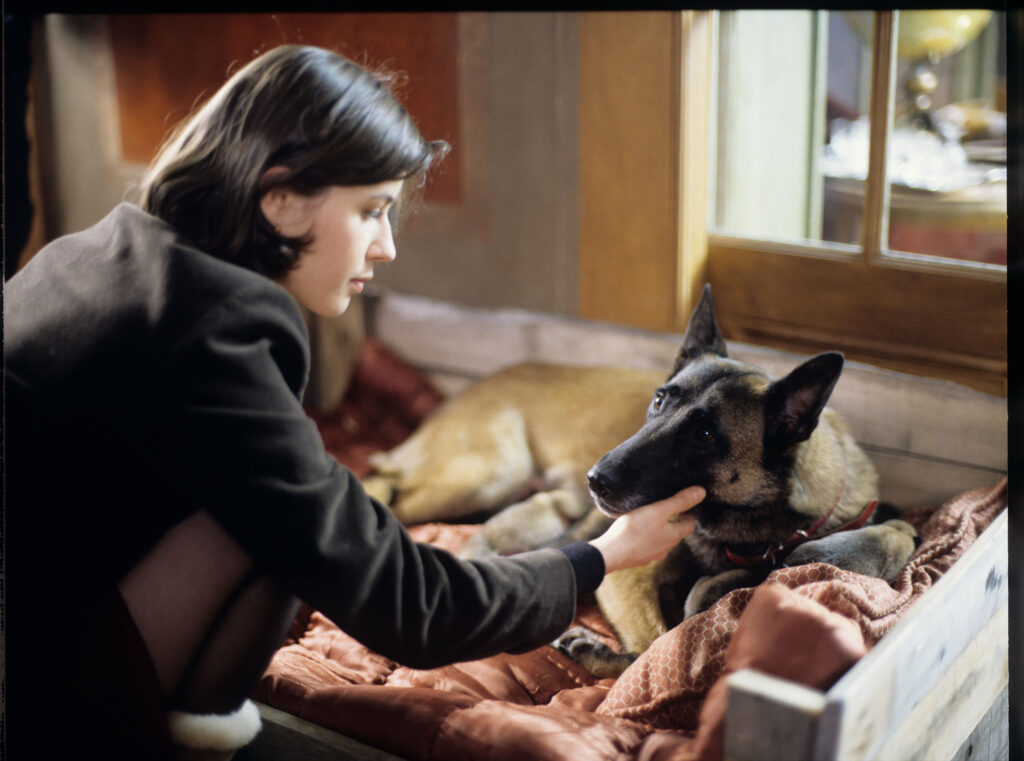 Lekarka weterynarii (Marion Stalens) opatruje psa, którego Valentine potrąciła swoim samochodem.