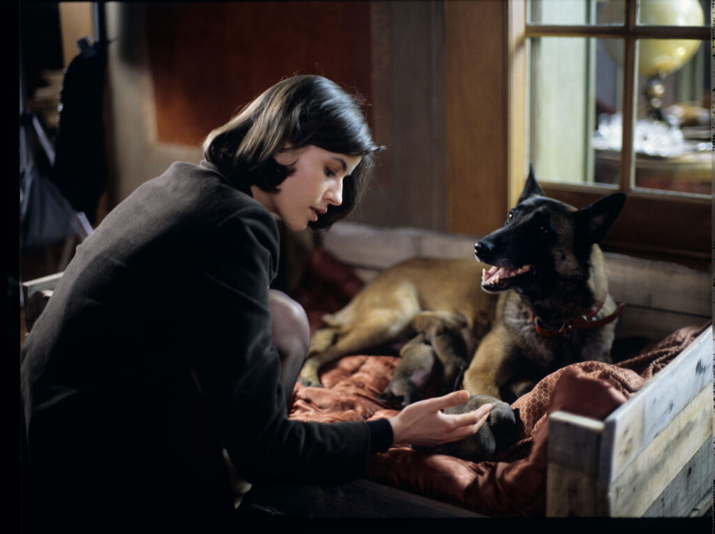 Scena w mieszkaniu sędziego. Valentine (Irène Jacob) ogląda szczeniaki, które właśnie urodziła Rita.