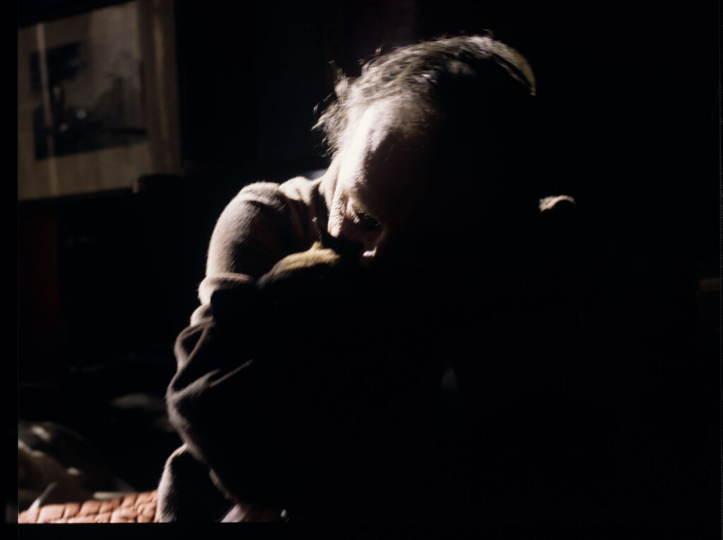 Emerytowany sędzia Joseph Kern (Jean-Louis Trintignant) ze szczeniakami Rity.