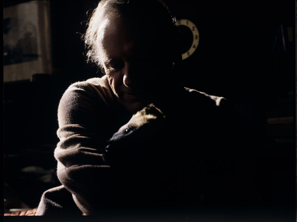 Emerytowany sędzia Joseph Kern (Jean-Louis Trintignant) ze szczeniakami Rity.