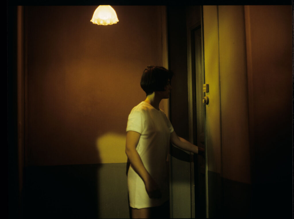 Concerned by noises, Julie (Juliette Binoche) leaves the apartment and accidentally slams the door behind her.