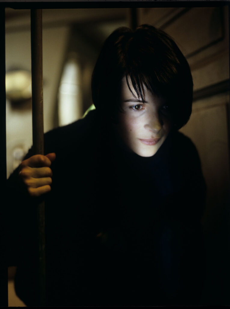 Julie (Juliette Binoche) discovers unwatned guests - a family of mice