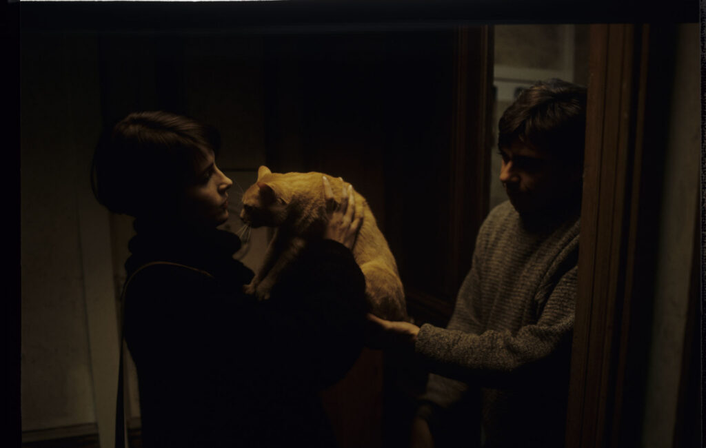 Julie (Juliette Binoche) borrows a cat from a neighbor to get rid of a family of mice from her apartment.