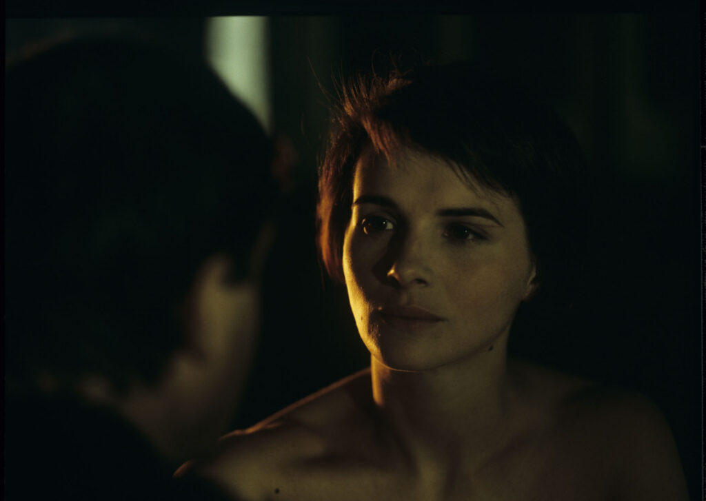In love with Julie (Juliette Binoche), Olivier (Benoît Régent) arrives at night at her request to an estate outside Paris.