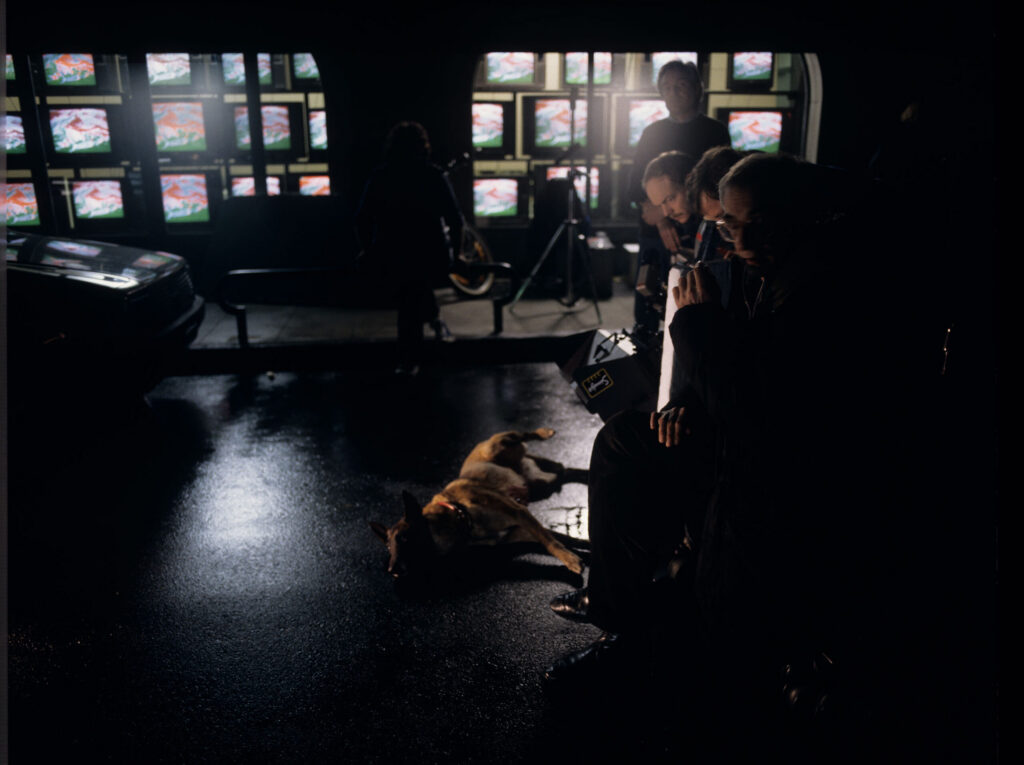The film crew on the set prepares Rita the dog for the scene where the dog is hit by Valentine's car.