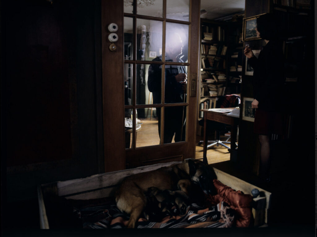 Valentine (Jacob) and retired judge Kern (Trintignant) and the dog Rita with puppies in the judge's apartment.